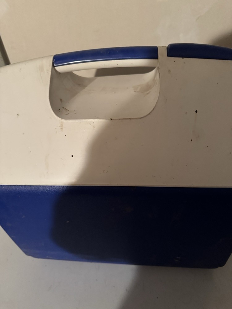 Plastic cooler 'Playmate Elite' by Igloo