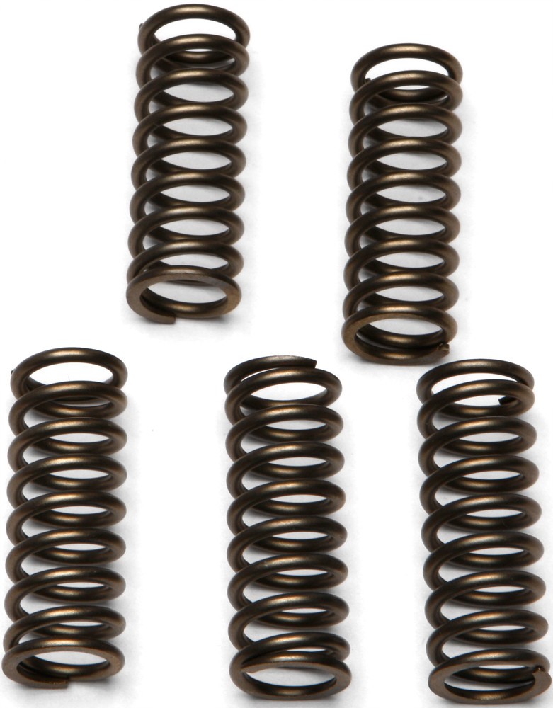 EBC Clutch Spring Set - Clutch Springs - CSK112