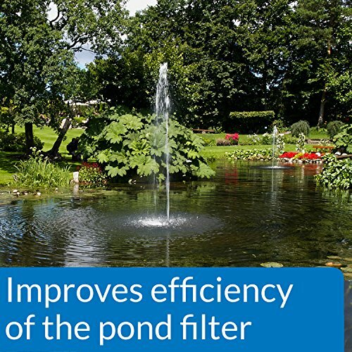 API POND ACCU-CLEAR Pond Water Clarifier 64-Ounce Bottle