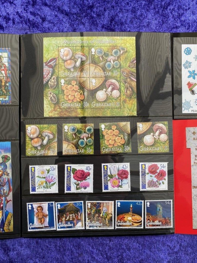 Gibraltar 2003 year stamp mini sheet year book