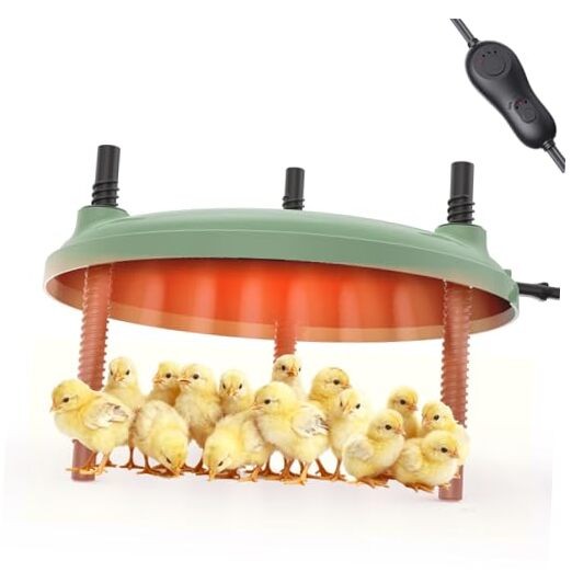 Brooder Heater for Chicks,12inch Metal Heating Plate, Adjustable Height &