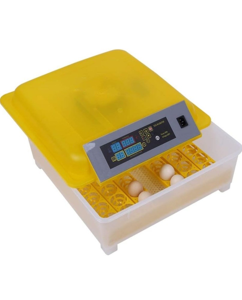 Incubator 48 eggs (para gallos)