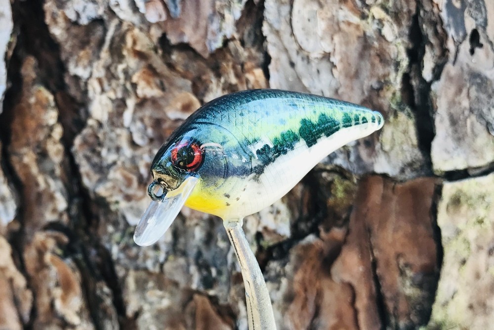 SPEEDBAITS Custom Airbrushed Crankbait