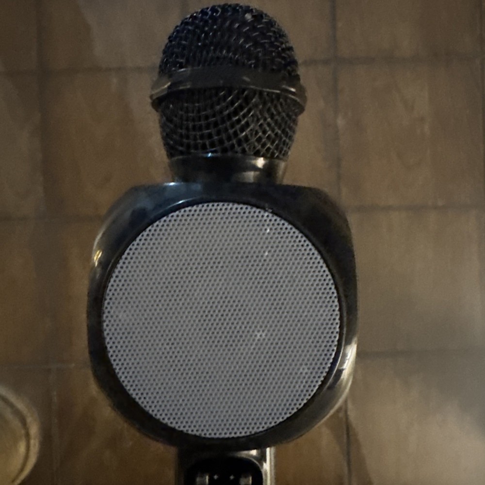 Tech Solutions LED Bluetooth Karaoke Studio Wireless Mic With Speaker Black