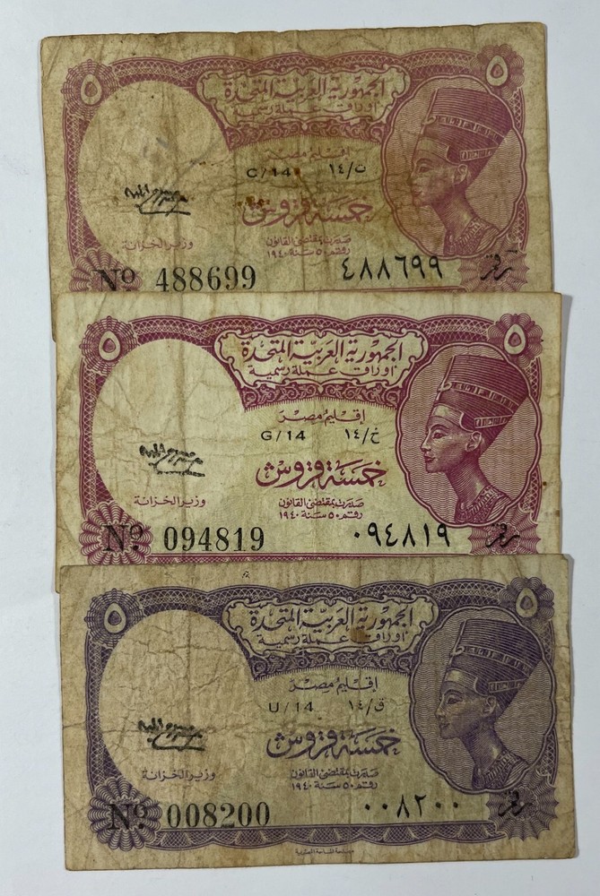 Egypt 8 mixed Nefertiti notes (#519) Mixed grades.