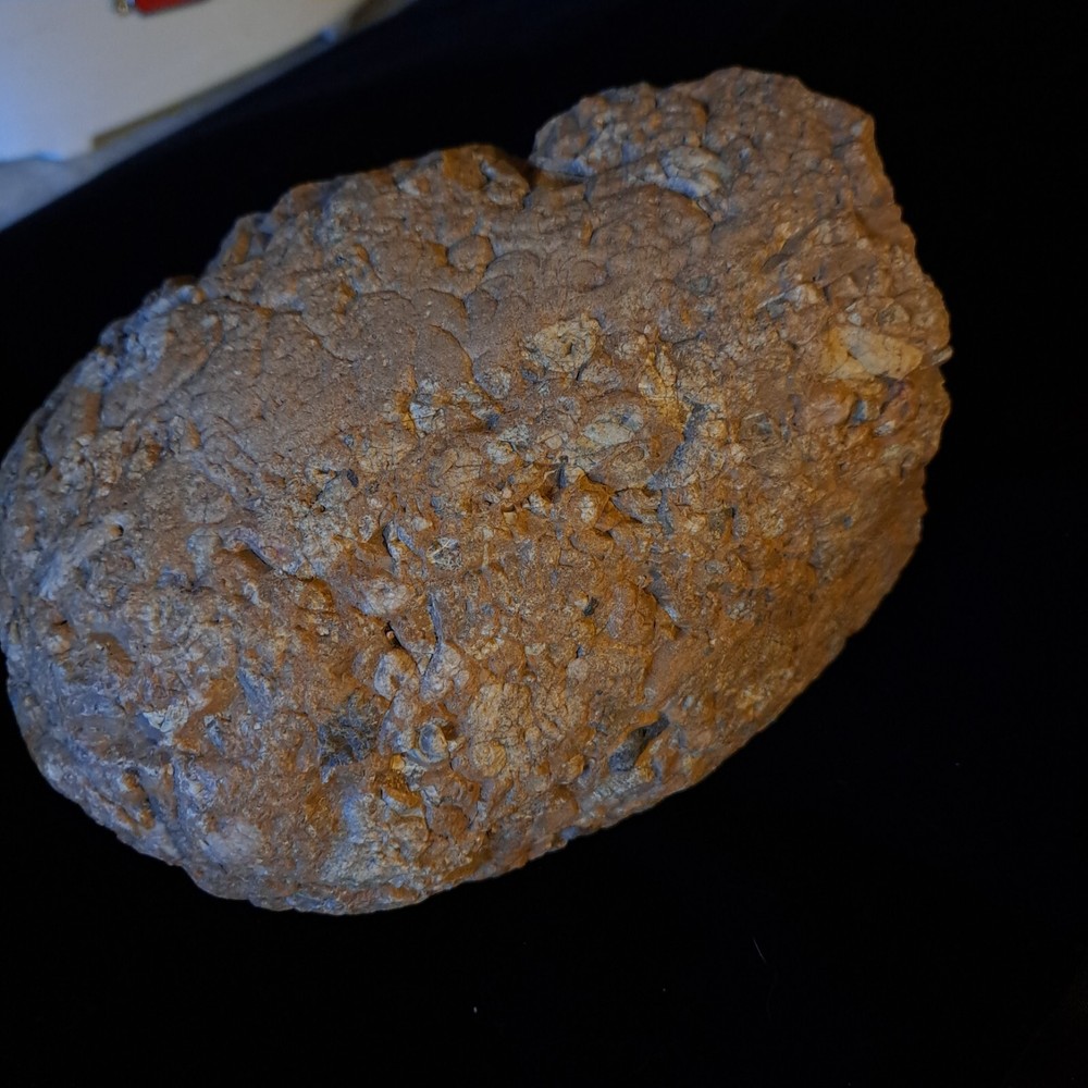 COLORADO JASPERIZED CONGLOMERATE LARGE STONE ROCK 9 LB