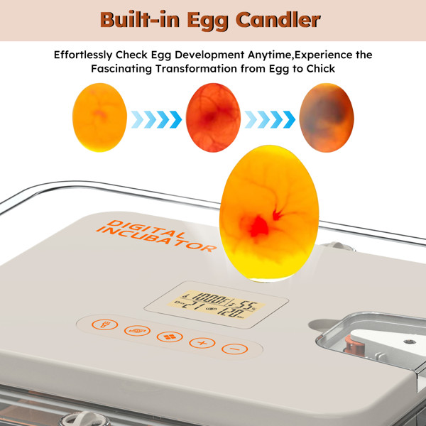New Incubator Egg Automatic 56 Egg Turning Egg Hatching Temp & Humidity Control