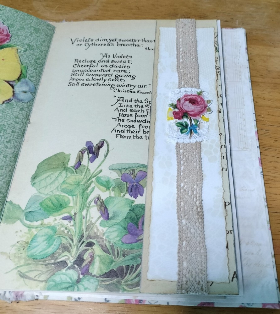 Sweet Spring Journal