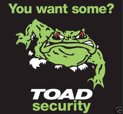 2 x TOAD AI606 CAR ALARM REPLACEMENT WINDOW STICKERS
