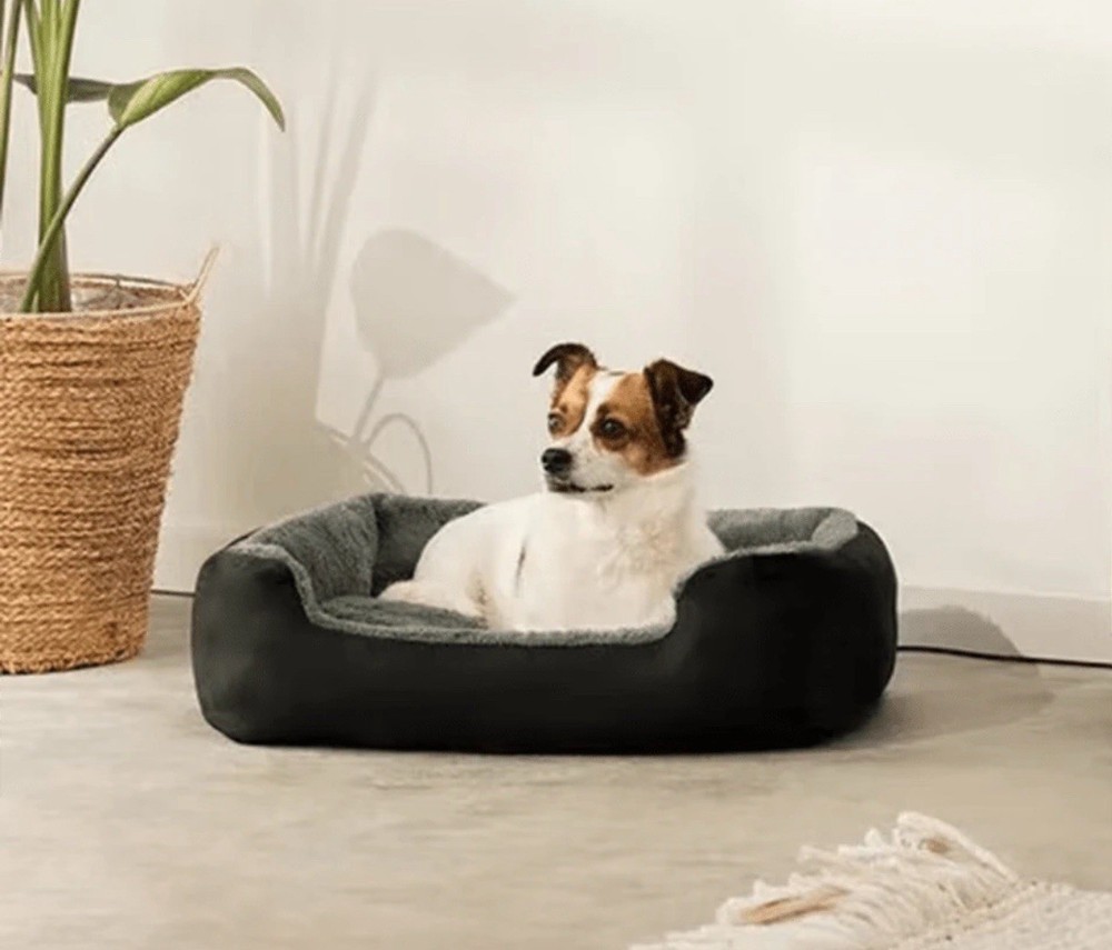 Medium Size Dog Bed