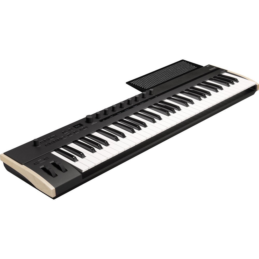 Korg Keystage 61 Poly AT MIDI Keyboard Controller PEDAL KIT