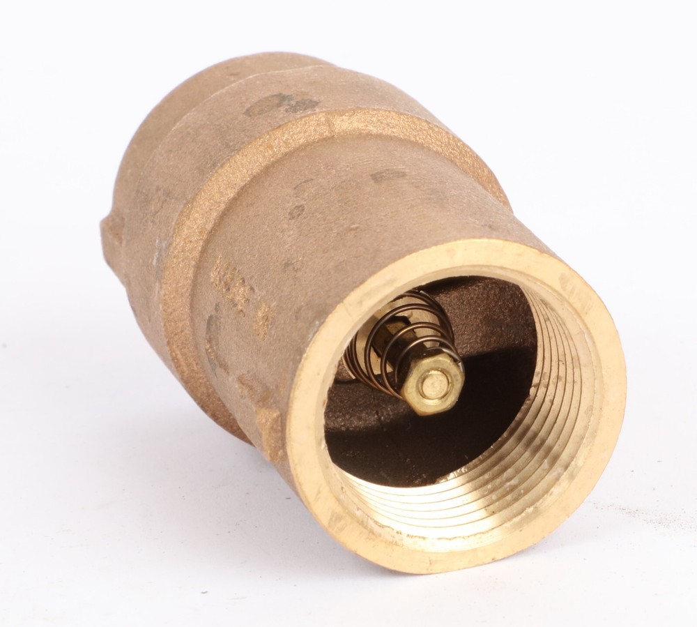 Watts ECV 100 1" NPT Spring Check Valve