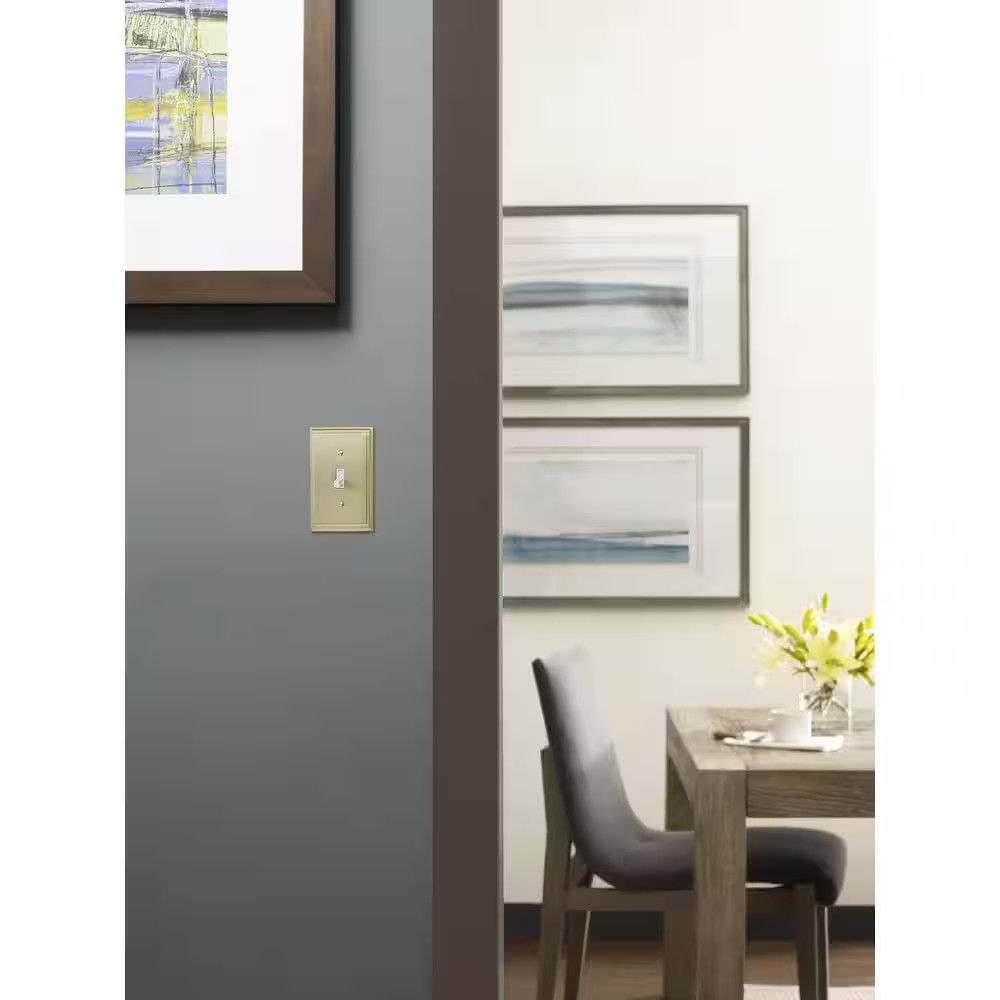 Gold 1-Gang Toggle Wall Plate (1-Pack)