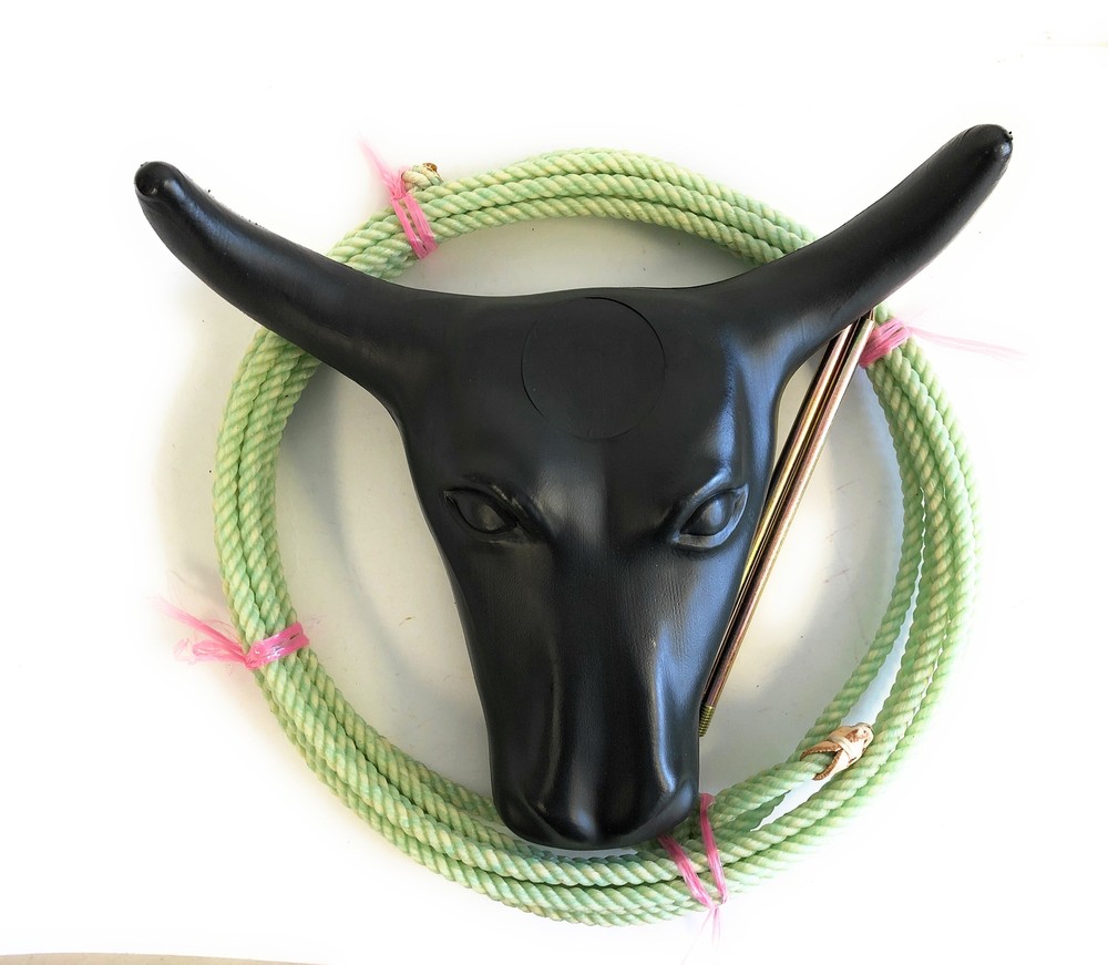 AJ Tack Junior Steer Head Dummy Set