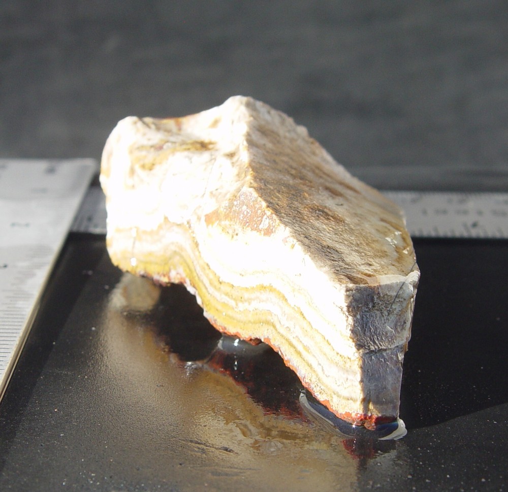 Lace Agate Small Lapidary Rough 1476