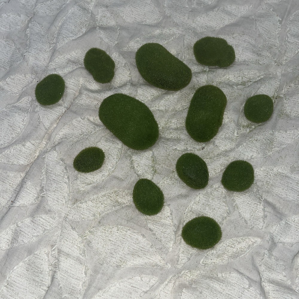 12 Piece Foam Rock Moss Set 3 Sizes