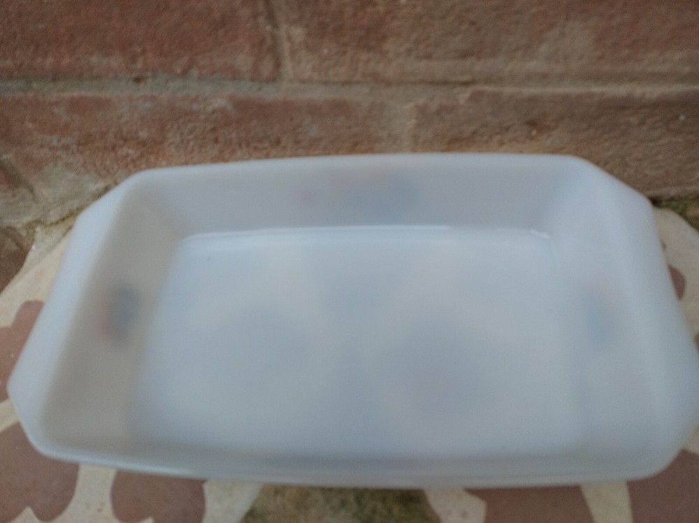 Vintage Arcopal Pan