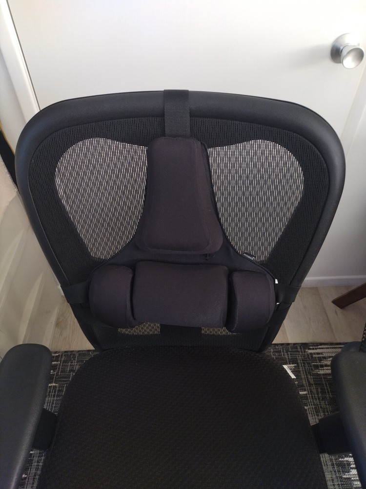 Fellowes Professional Series Back Support Black 8037601