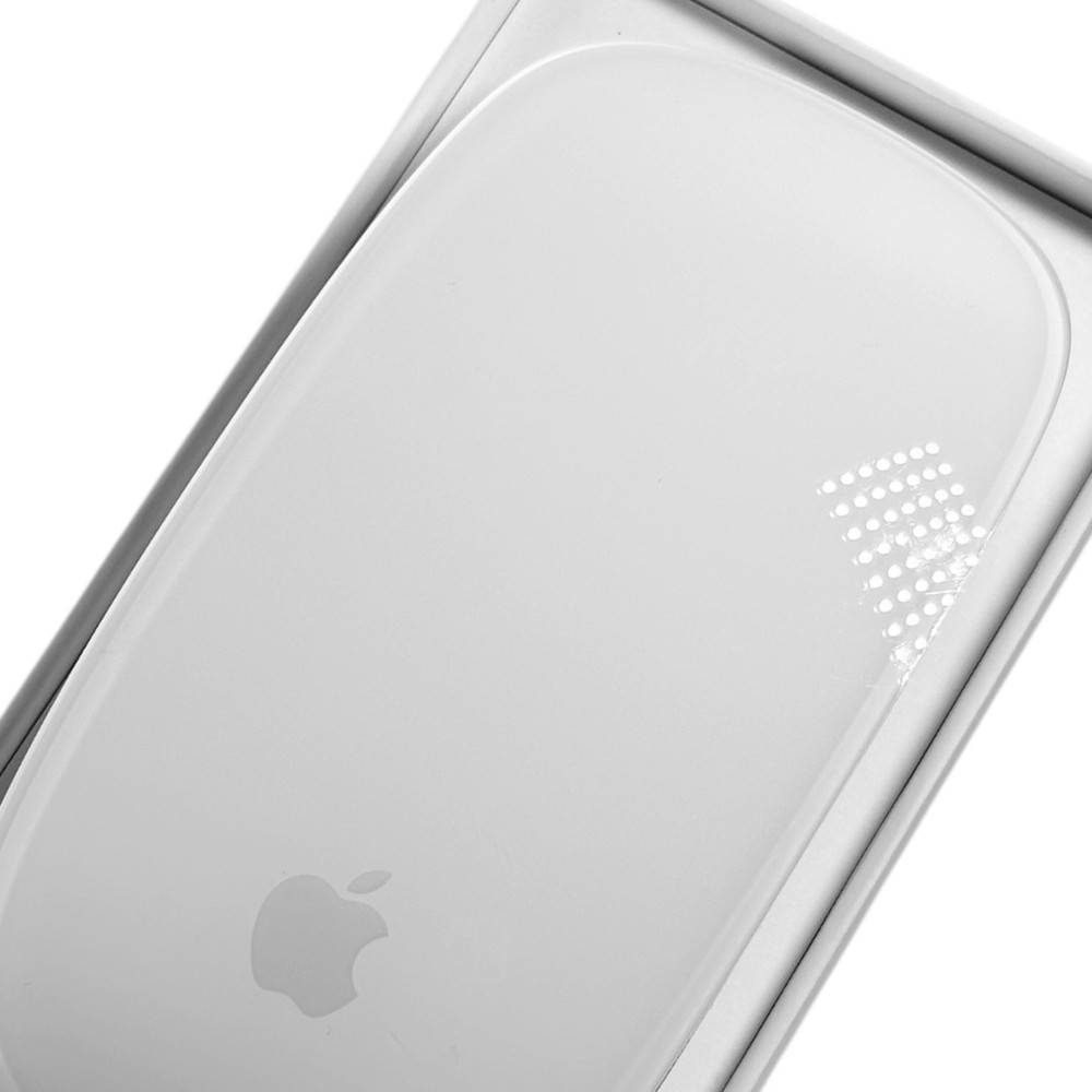 Apple Magic Mouse Multi-Touch Surface USB-C A3204 White (WORKS GREAT/VERY GOOD)