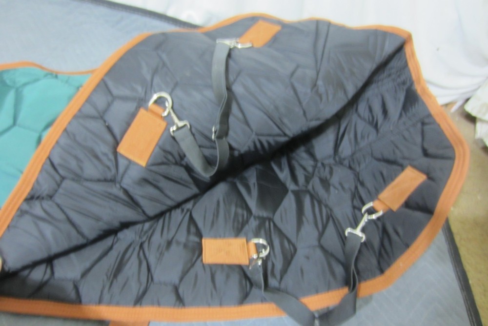 Adjustable Foal Mini Horse Winter Blanket Green Medium