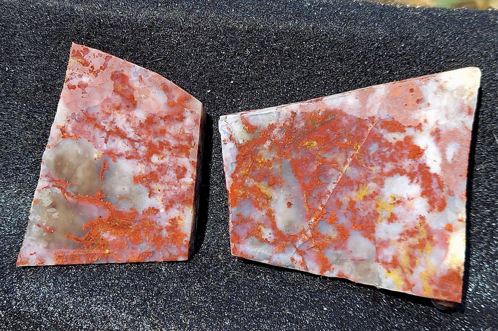 St. John's Flower Agate Slabs-RARE