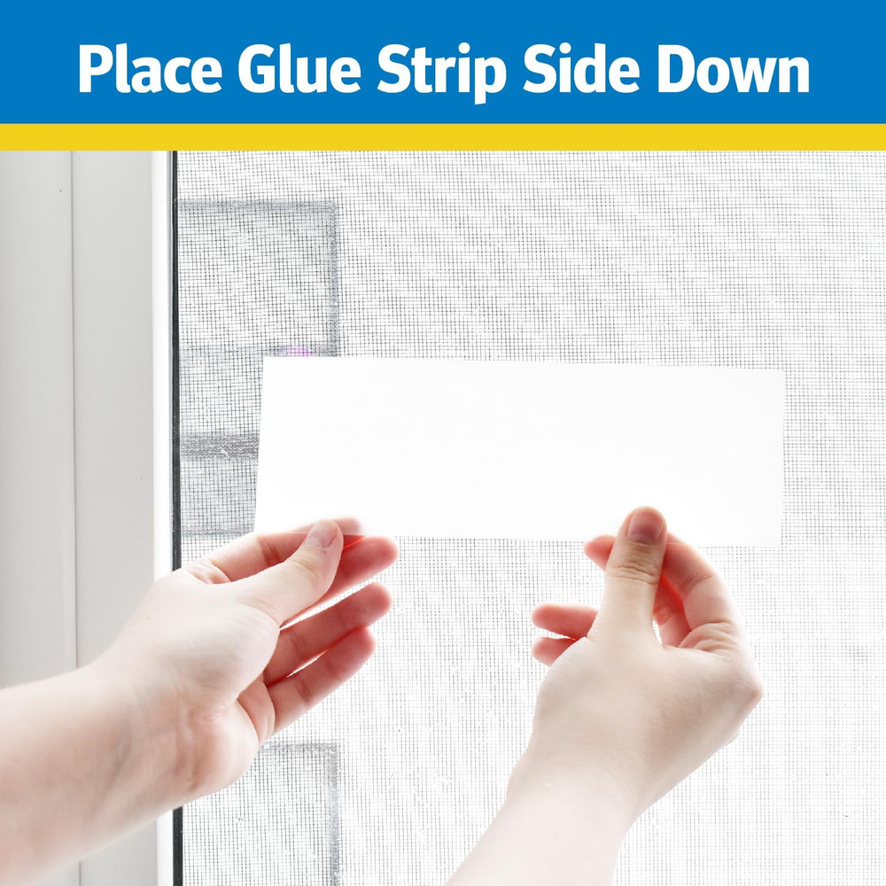 Window Fly Trap, 4 Count (12-Pack)