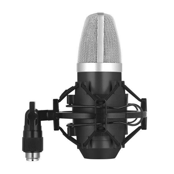 Stagg SUM40 USB Electret Condenser Microphone - Great for Podcasts