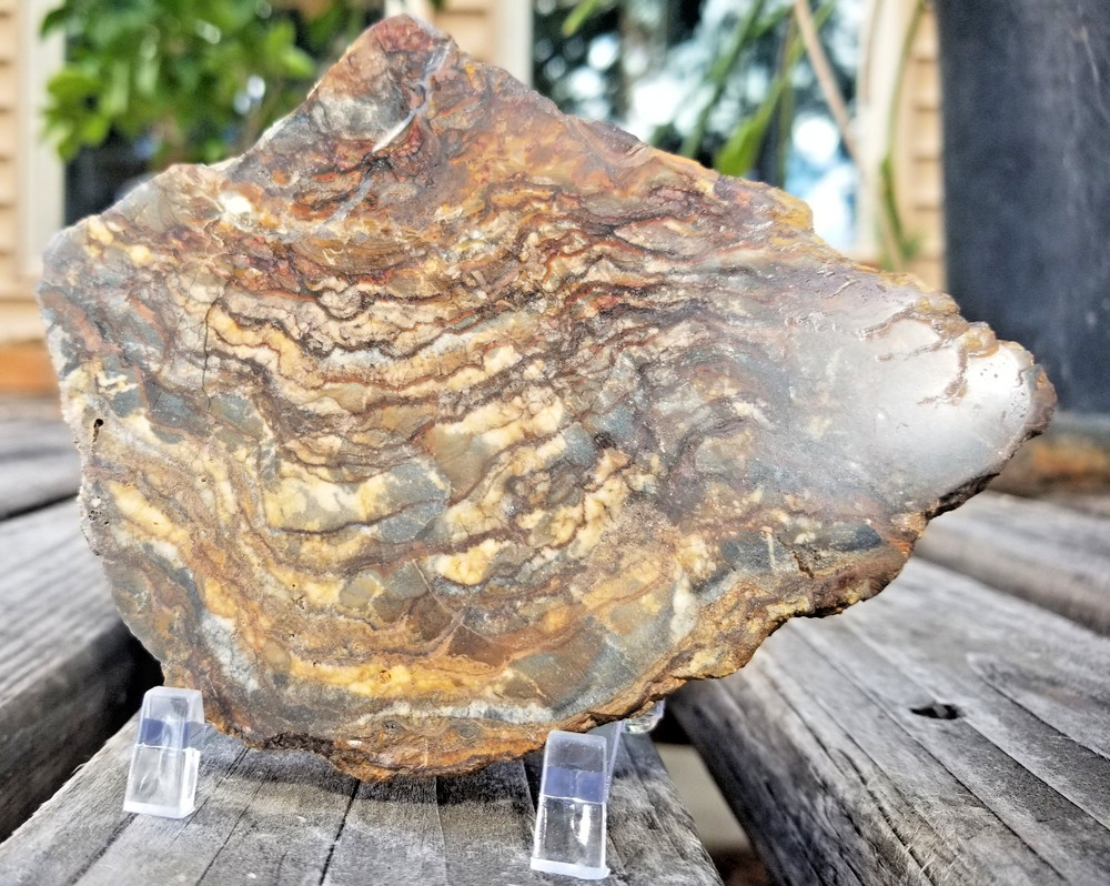Nice Polished Picture Jasper Slab 5x3.5" Display Unknown Origin Old Collection