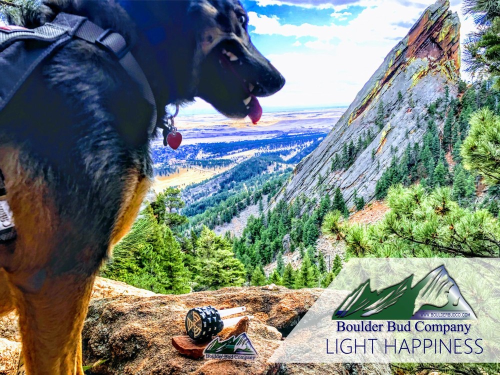 UBER Tray Rolling Tray Bundle +6 Piece Bundle LED Vibration Light