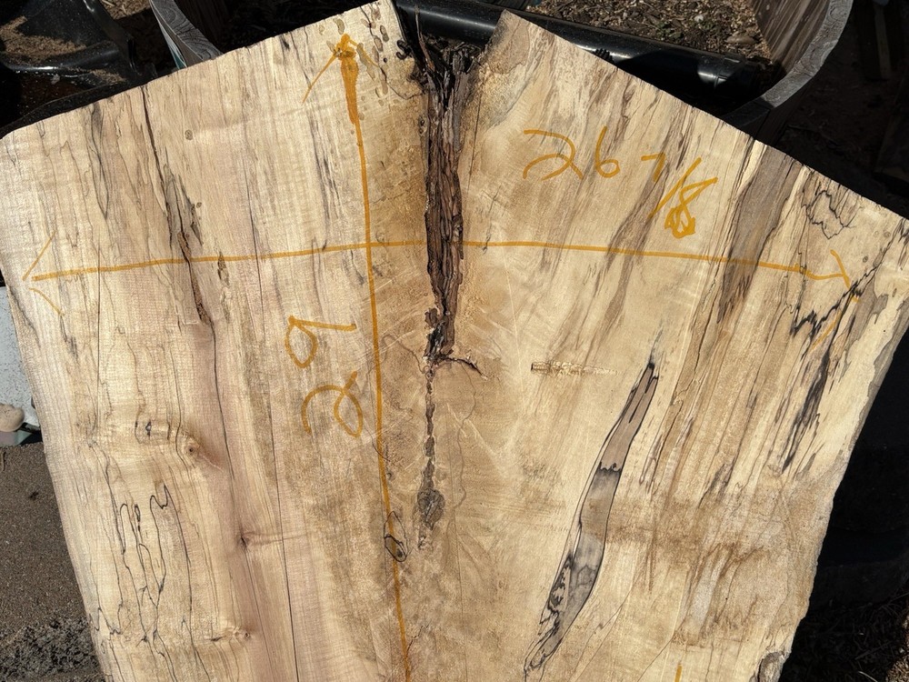 Spalted Maple Wood