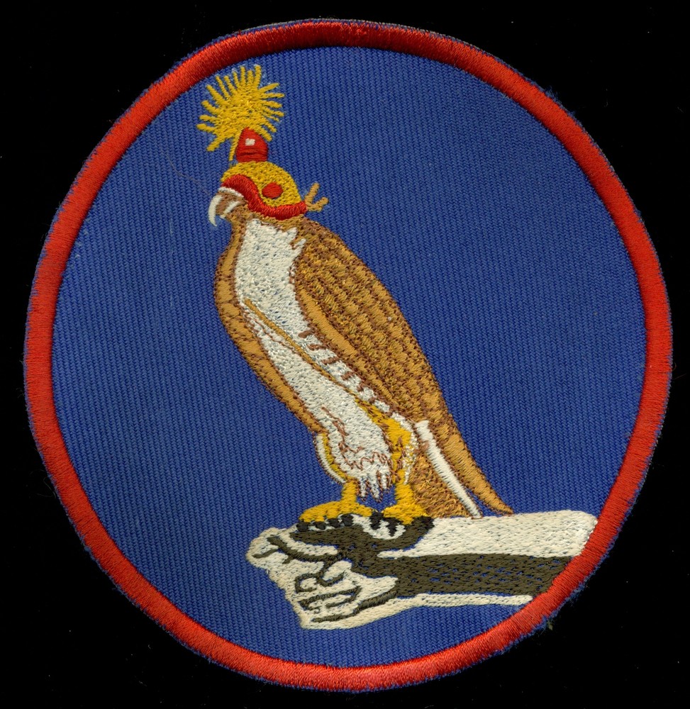 USN VF-142 Attack Squadron 142 Patch S-13