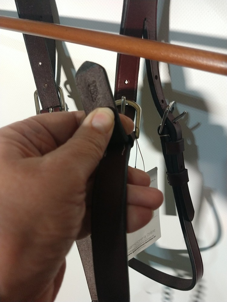 Passage Equestrian Bridle full size (DD)