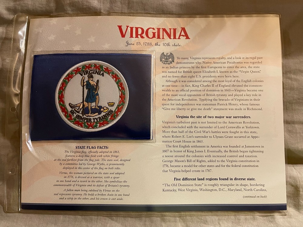 WILLABEE & WARD FLAG PATCH PANE ****VIRGINIA