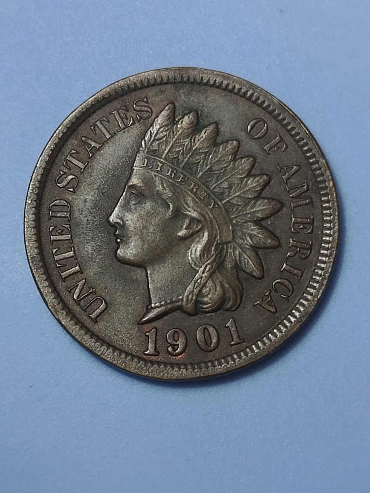 1901 Indian Head Cent w/ Reverse Rim Damage #68