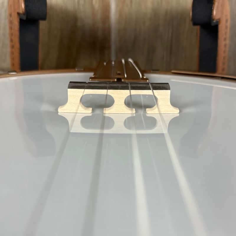 Deering Goodtime Two 19-Fret Demo