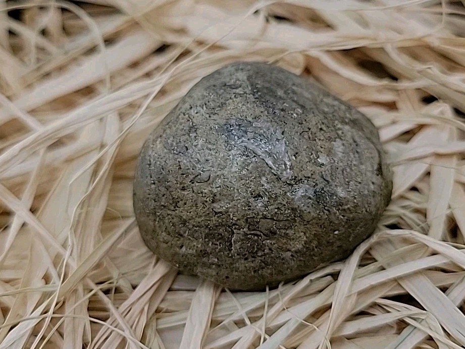 Real Dinosaur Egg Fossil Uv Reactive Permineralization fossil