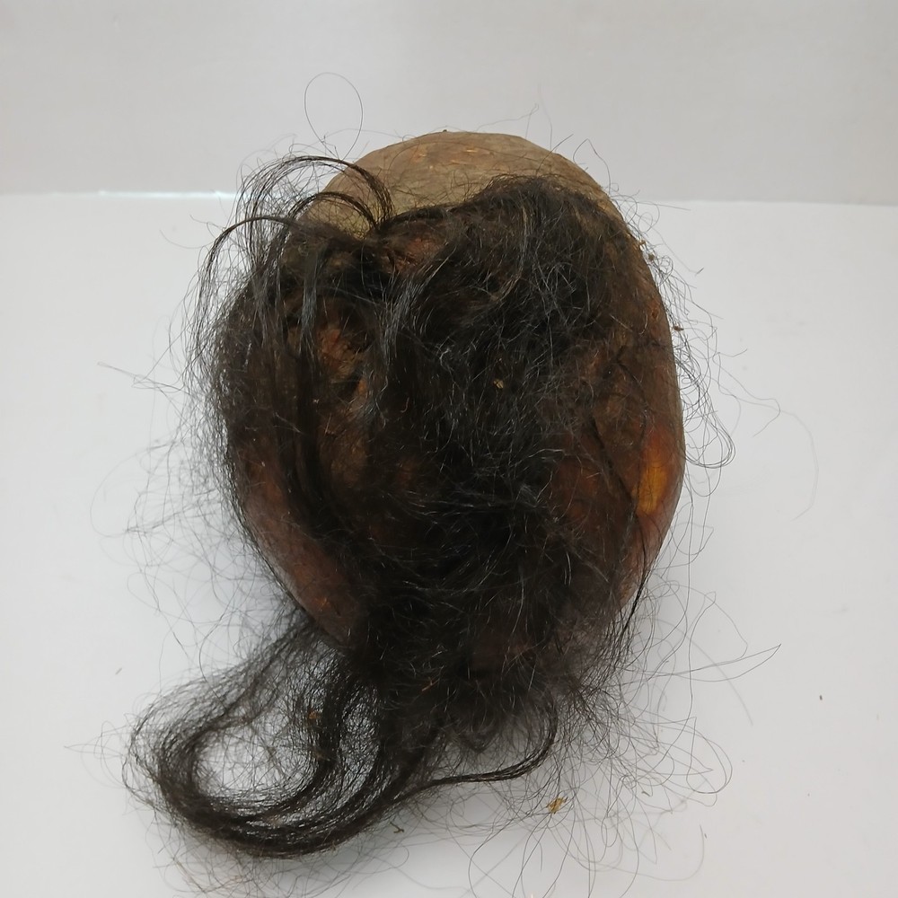 Screen Used Prop Skull From The Gateway Meat By Ron DeCaro