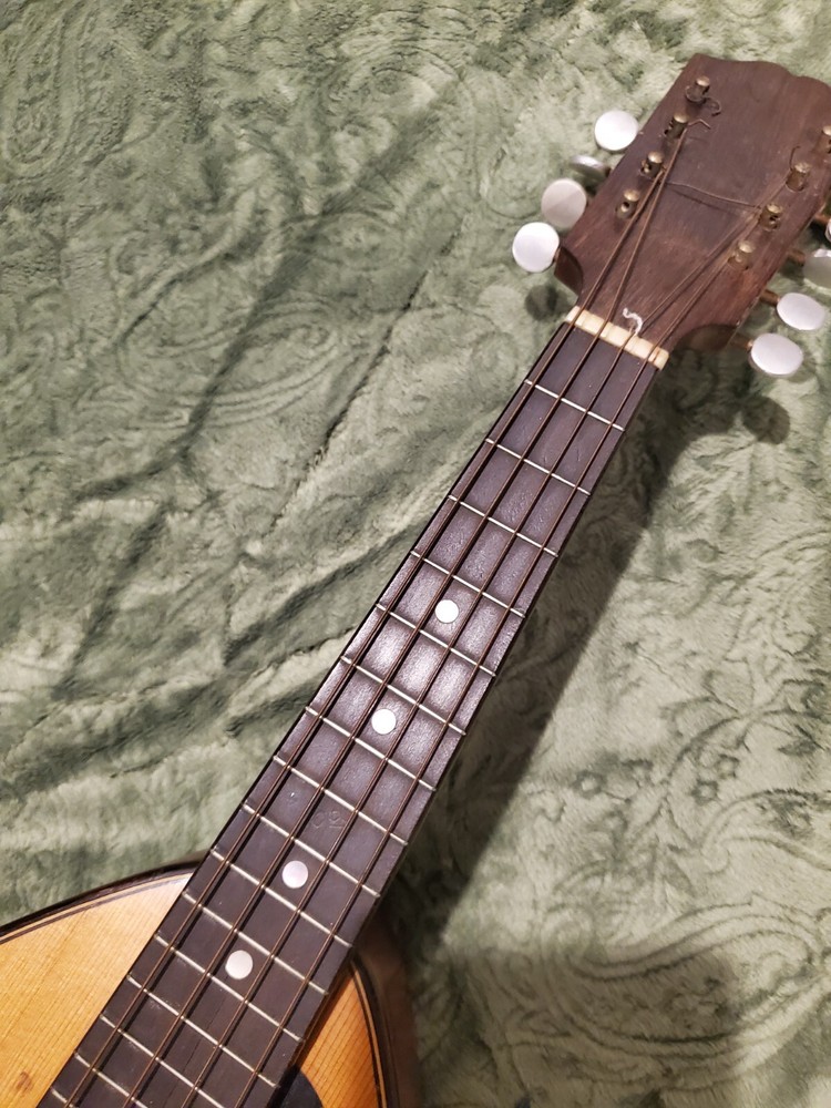 1920's Weymann Mandolute