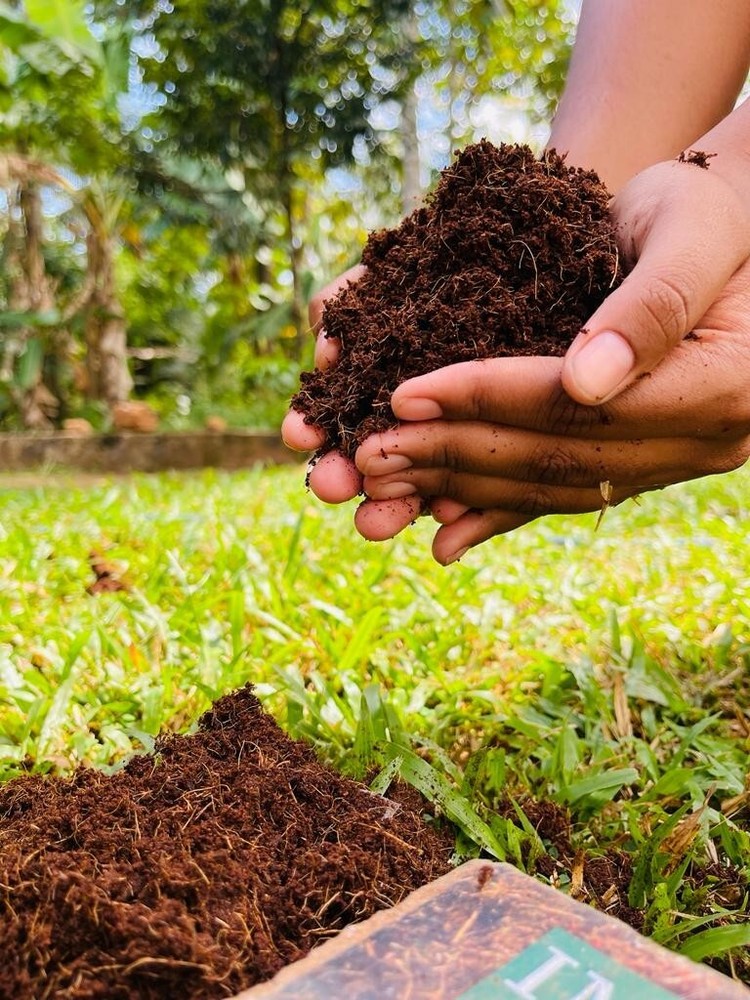 Coco Peat Coir Pith Block Compost Hydroponic Growing SoilCoconut Peat Coco Coir
