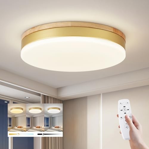 Modern Dimmable Ceiling Light with Remote, 11.8in Flush Mount Ceiling Gold