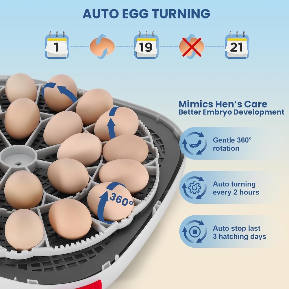 24 Egg Incubators for Hatching Eggs - Automatic Temperature Control and Egg
