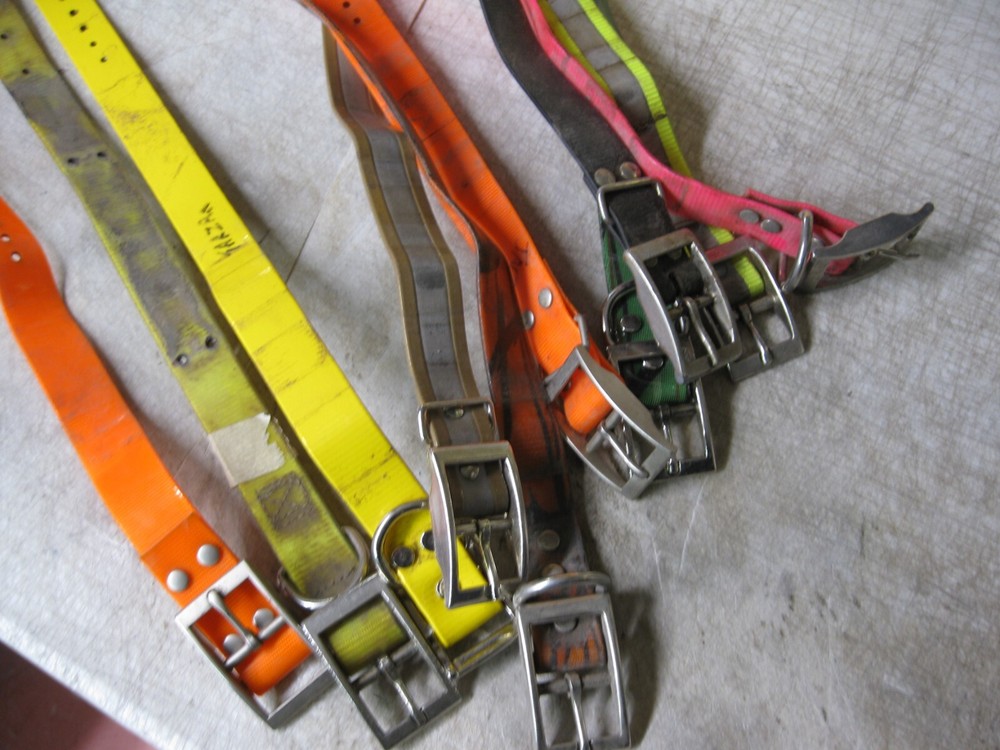 10 Dog collar straps Pulled from tracking collars 1" width (10 pcs.) -Used