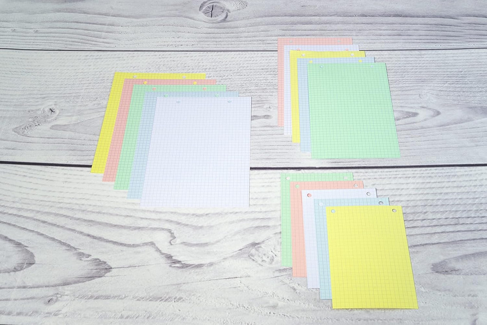 - Ref 13656E - Bristol Squared & Punched Record Cards (Pack of 100) - A4 in Size