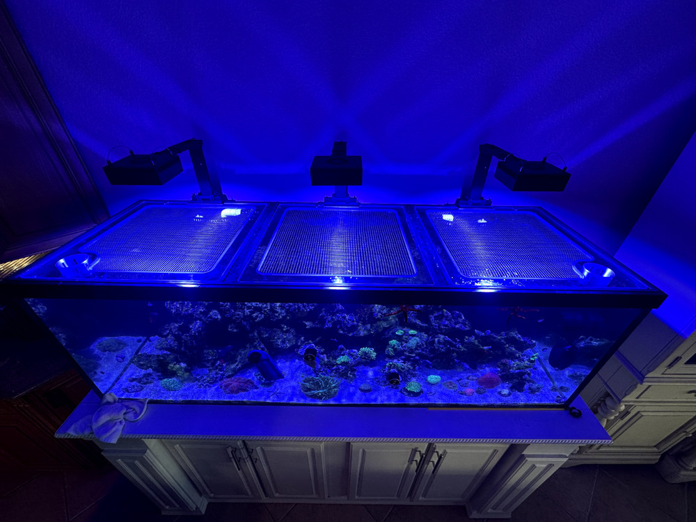 Custom Solid Polycarbonate Clear Aquarium Lid