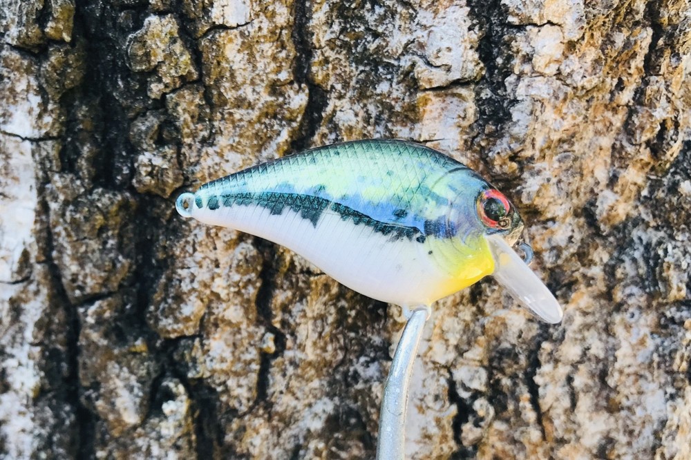 SPEEDBAITS Custom Airbrushed Crankbait