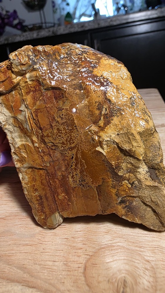 owyhee picture jasper