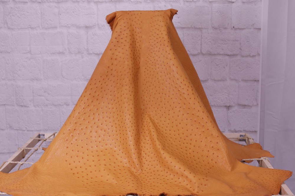 Ostrich Leather Hide, Buttercup Color SF