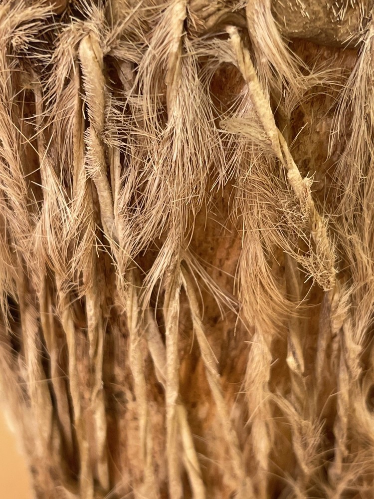 A small vintage hand drum