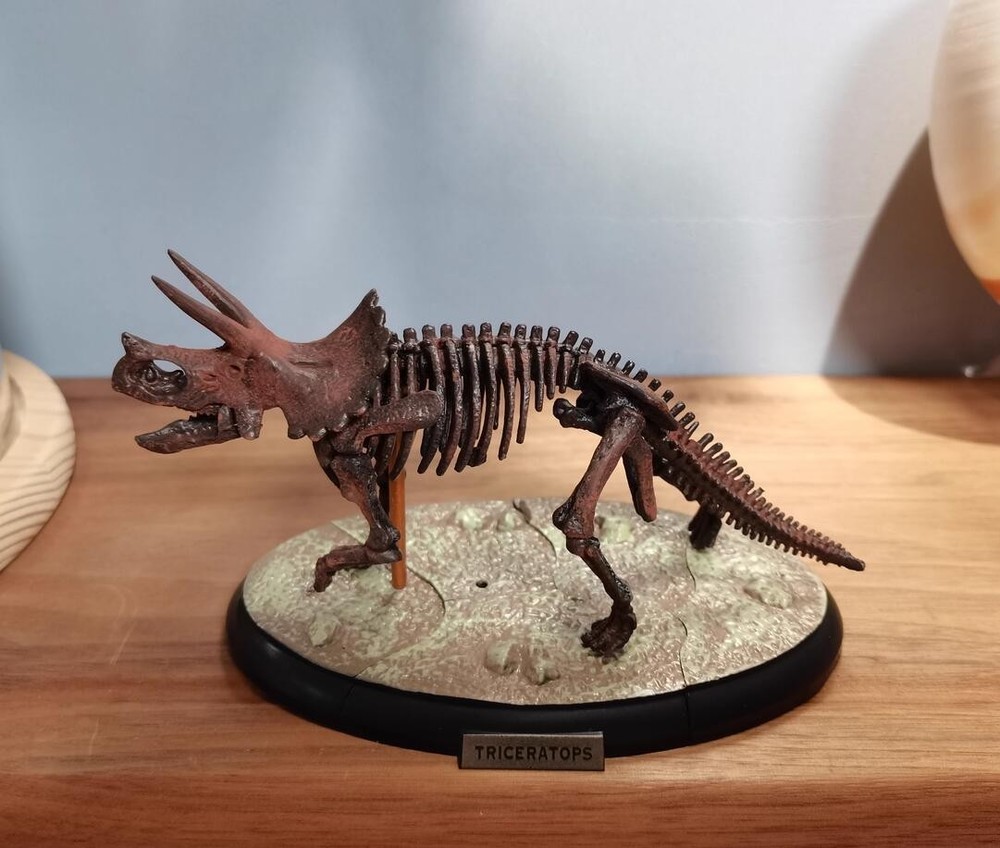 Triceratops Skeleton Model Dinosaur Model Statue Display Animal Model