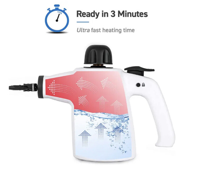 Bed Bug Steamer Killer Non Toxic Effectively Kills Bugs & Their Eggs Dead WORKS!